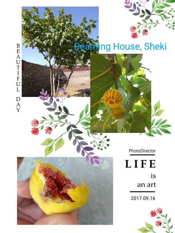 Beaming_House Hotel Sheki Exterior photo